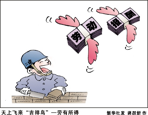 动漫岛